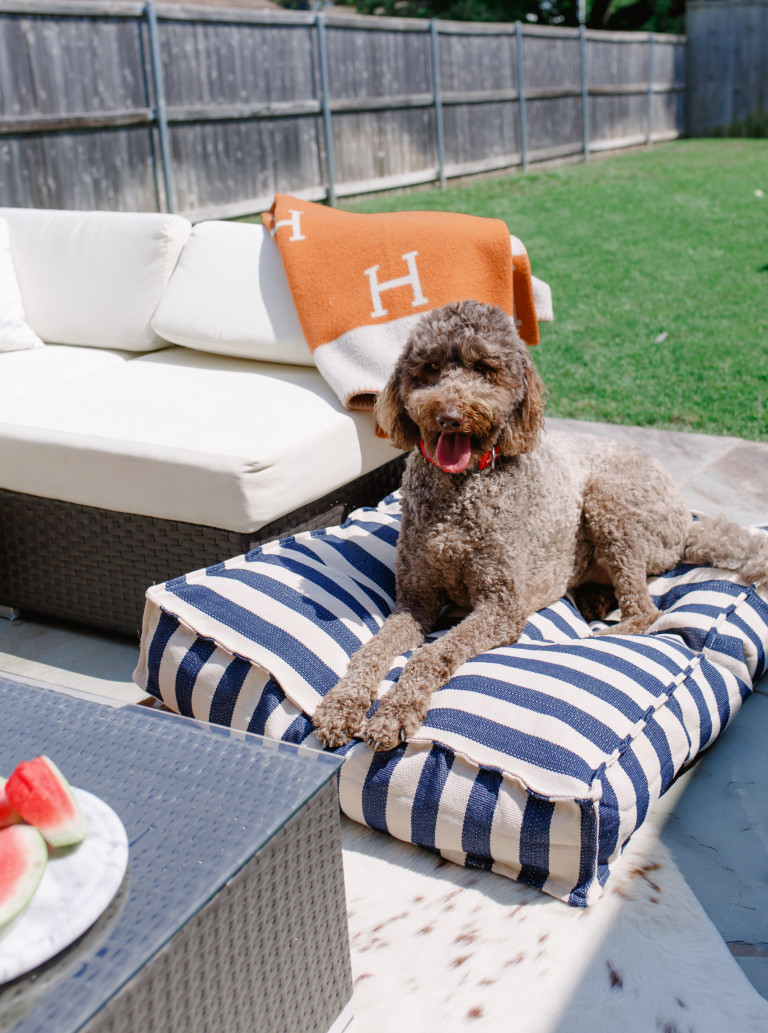 Dash & Albert Dog Bed so then they say